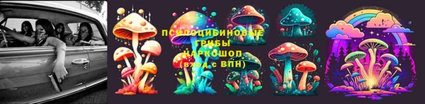 гидра Новокубанск