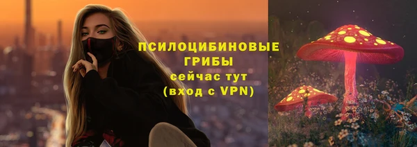 гидра Новокубанск
