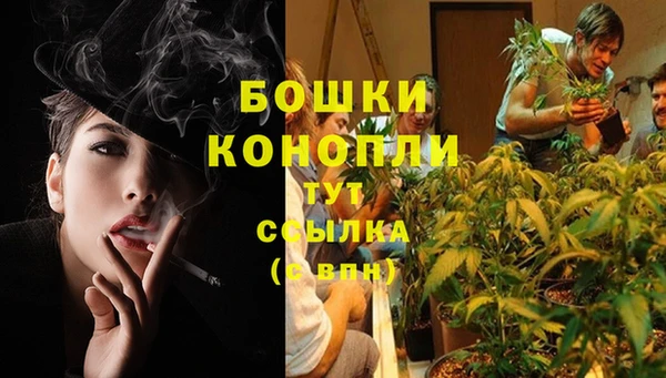 первитин Новозыбков