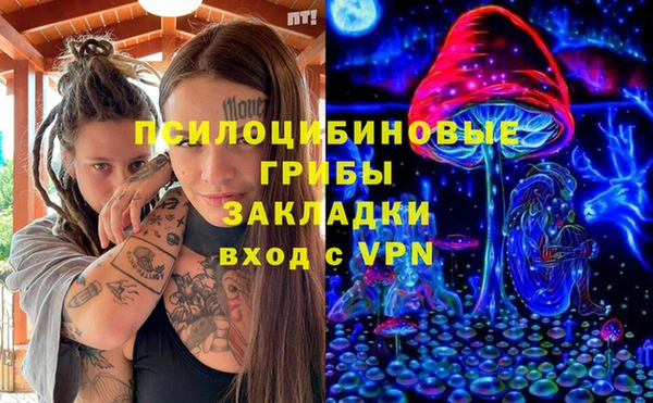 первитин Новозыбков